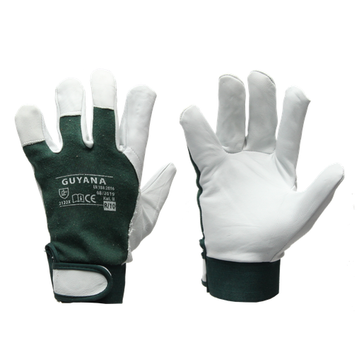  GUYANA gloves 